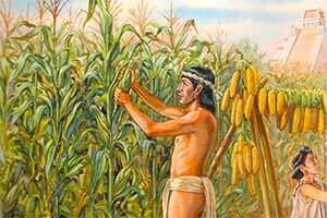 Ацтеки: питание и сельское хозяйство