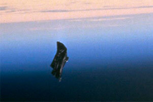 Черный рыцарь