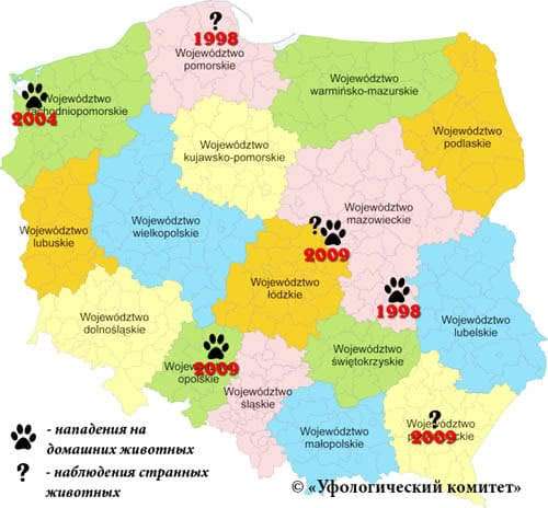 Изображение — чупакабра чупакабра