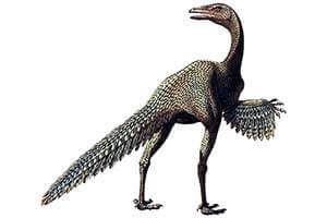 Связь динозавров и птиц