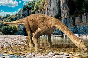 Остеомиелит у динозавров