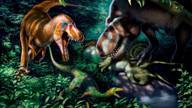 Nanotyrannus (слева на иллюстрации) Nanotyrannus (слева на иллюстрации)