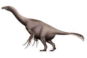 Теризинозавр (Therizinosaurus cheloniformis)