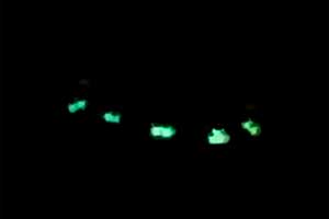 НЛО в штате Боливар