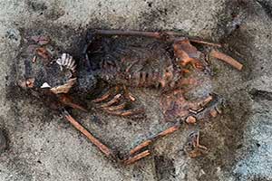 Могила женщины эпохи викингов